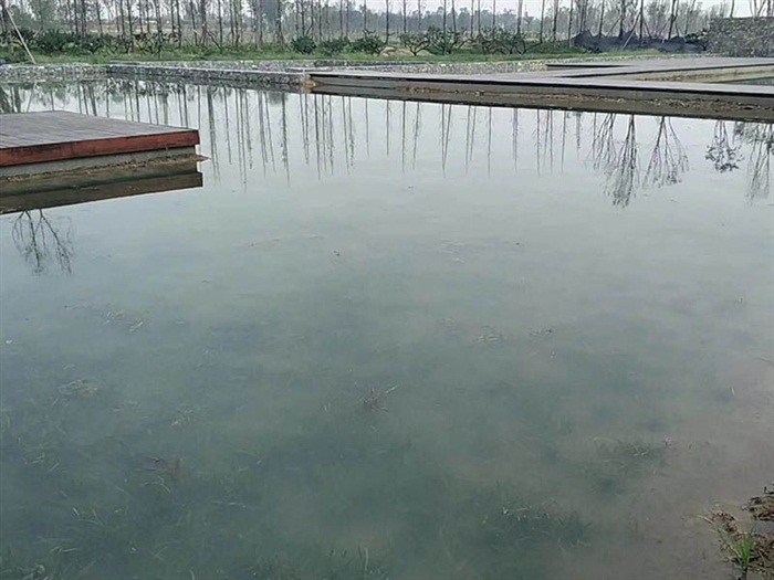 工程案例